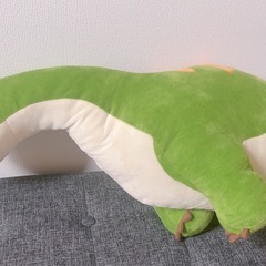 恐竜　ぬいぐるみセットの画像