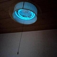 照明 和室 和風 電気 の画像