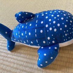 ぬいぐるみ　ジンベエザメ　海洋博の画像