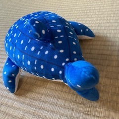 ぬいぐるみ　ジンベエザメ　海洋博の画像