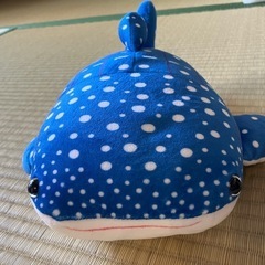 ぬいぐるみ　ジンベエザメ　海洋博の画像