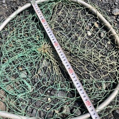 たも網　ボート用　バス釣り　2個セットの画像