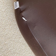 抱き枕？クッションの画像