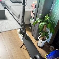 キックボードの画像