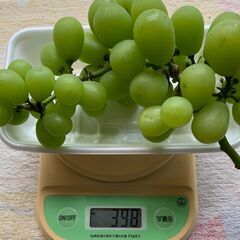 ぶどう シャインマスカット（398g）訳あり