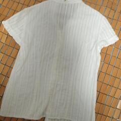 ブラウスの画像