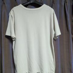 女性用Ｔシャツの画像