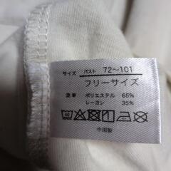 女性用Ｔシャツの画像