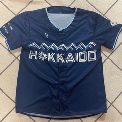 2枚あり ユニフォーム 北海道日本ハムファイターズ WE LOVE FIGHTERS 日ハム エスコン 日本ハムファイターズの画像