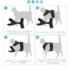 猫　
リードの画像