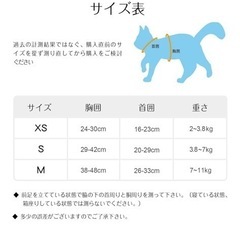猫　
リードの画像