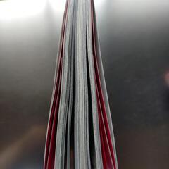 話題の漫画　たつき亮　私が見た未来完全版　竜樹諒の画像