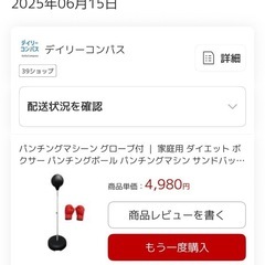 パンチングマシーン スタンド式自立型 グローブ付の画像
