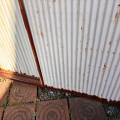 【確認用】の画像