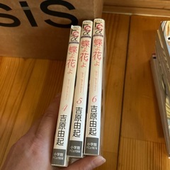 蝶よ花よ4~63冊中古品の画像