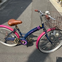 女子　自転車　24の画像