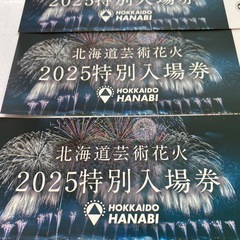 モエレ沼　北海道芸術花火の画像