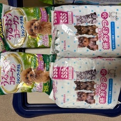 犬トイレの画像