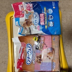 犬トイレの画像