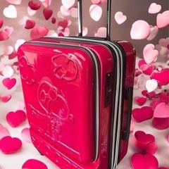 スヌーピー　キャリーケース　スーツケース　前面ポケット　Ｗファスナ　３６０度回転の画像