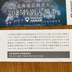 モエレ沼　北海道芸術花火の画像