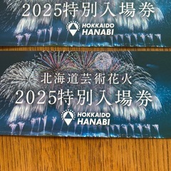 モエレ沼　北海道芸術花火の画像