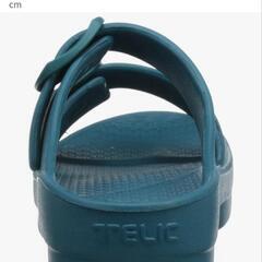 お値下げ‼️Telic W-BUCKLE サンダル ブルー 25.5cmの画像