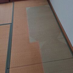 畳　タタミの画像