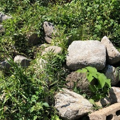 巨大な庭石大量に差し上げます！引き取り限定です。の画像
