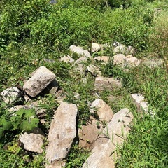 巨大な庭石大量に差し上げます！引き取り限定です。の画像