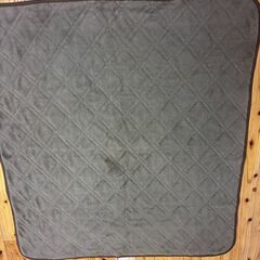 ホットマット（58×58㎝）の画像