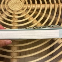 2ヶ月で月30万円を実現する 超初心者でも稼げるAI活用法の画像