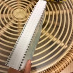 2ヶ月で月30万円を実現する 超初心者でも稼げるAI活用法の画像