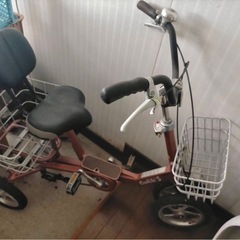 シニア自転車　の画像