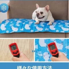 ［美品］ひんやり冷却ジェルマット　ペット用の画像