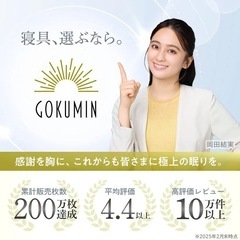 GOKUMIN プレミアム除湿シートの画像