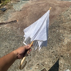 柄がきれいな日傘の画像