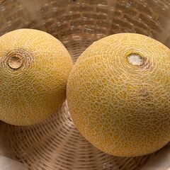 マスクメロン ２個セット ※ 訳あり