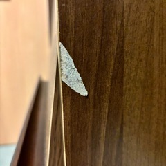 【8/31まで】木製　収納棚　ルーター収納の画像
