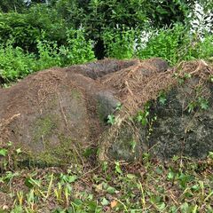 【無料でお譲りします】庭石・灯籠・手水鉢　の画像