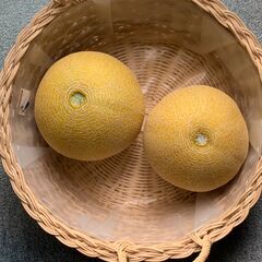 マスクメロン ２個セット ※ 訳あり
