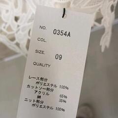 0823-115 レーストップスの画像