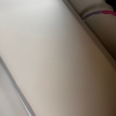 トゥルースリーパー(シングル)の画像