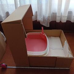 猫のトイレ．トイレの砂の画像