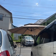 パラソルの画像