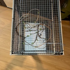 自作　爬虫類ケージの画像