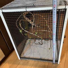 自作　爬虫類ケージの画像