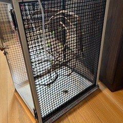 自作　爬虫類ケージの画像