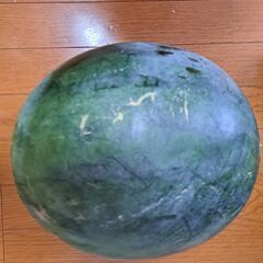 【相談中】すいかの画像