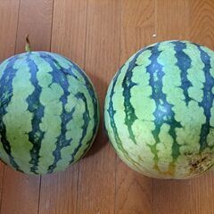 【相談中】すいかの画像